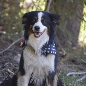 Meet your Posher, Lydia